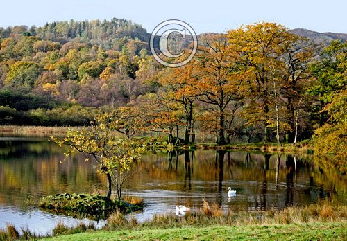 Rydal Water Cumbria DM0153